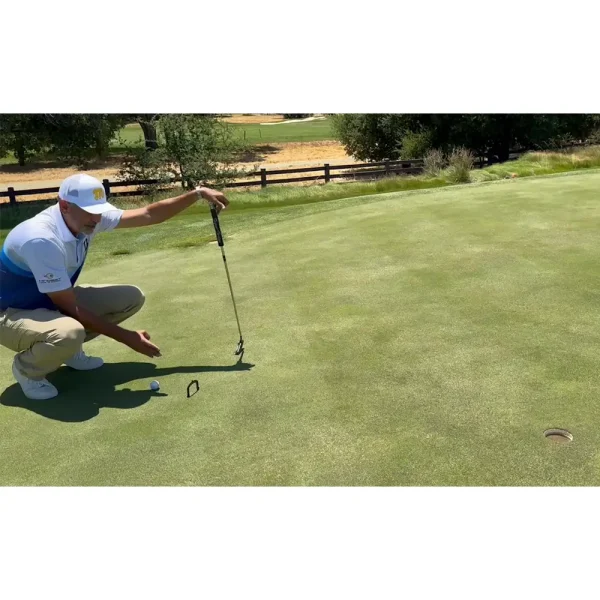 Putting Gate - Image 6