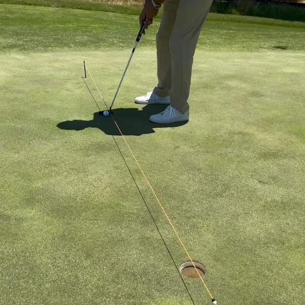 String Line - Image 2